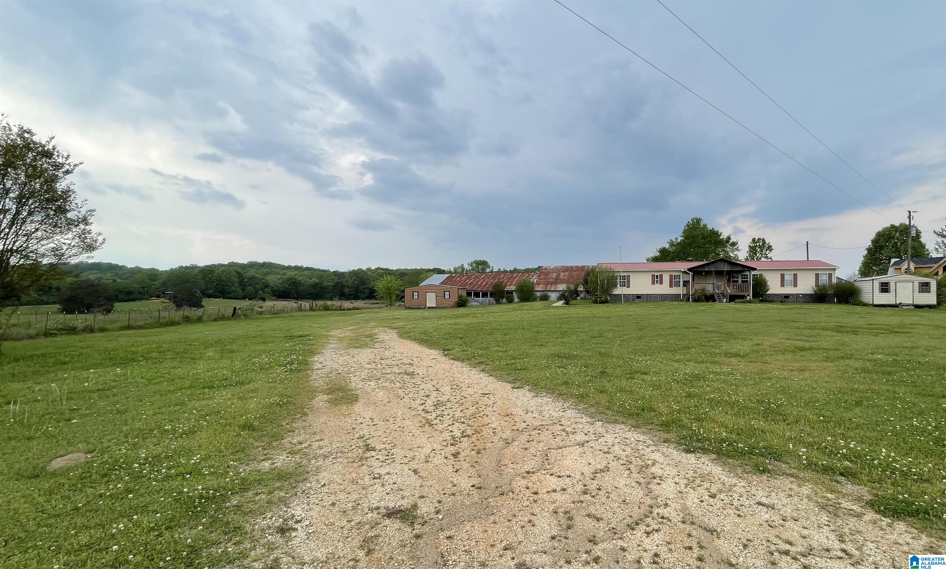 1779 Ray Wyatt Road Ashville, AL 35953 - Photo 2 of 40