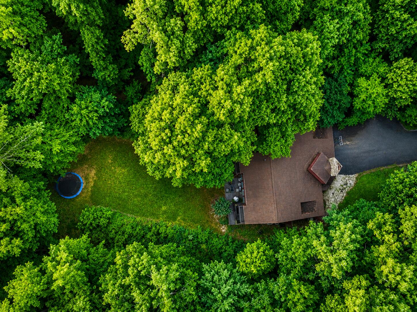 6227 Saddleridge Road Roanoke, VA 24018 - Photo 3 of 86 6227 Saddleridge Aerial