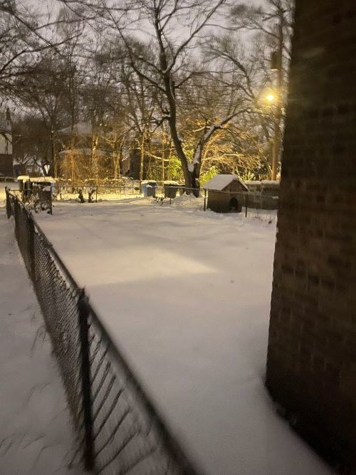 9924 South Hoxie Avenue Chicago, IL 60617 - Photo 11 of 12