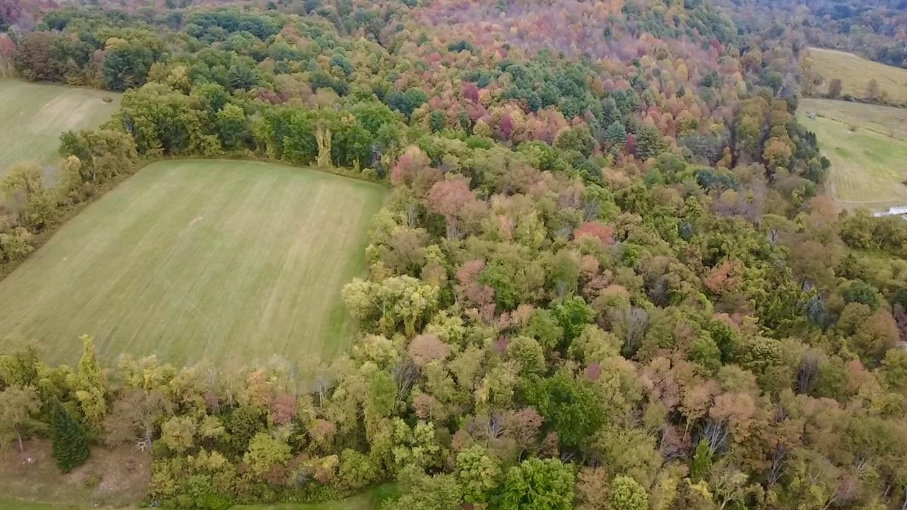Stateline Road North Bennington, VT 05257 - Photo 2 of 17