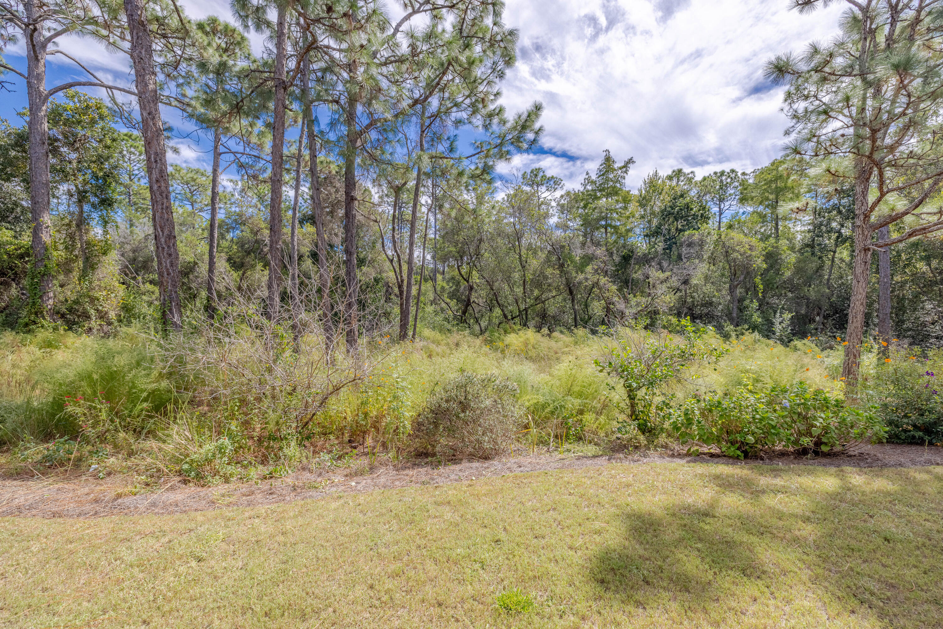 1508 Match Point Lane, Unit 302 Panama City Beach, FL 32413 - Photo 50 of 76 a view of a yard with a tree