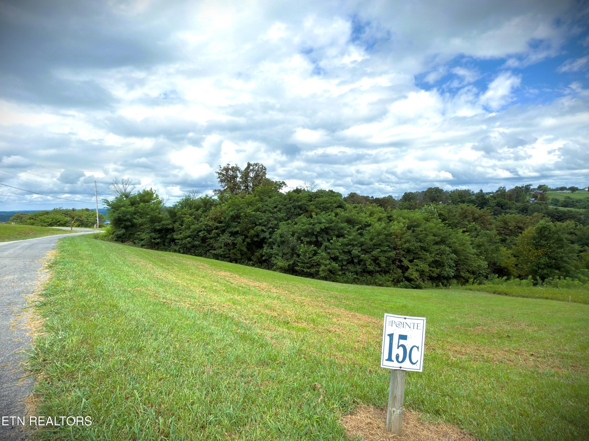 15 Swan Ridge Road Celina, TN 38551 - Photo 8 of 27