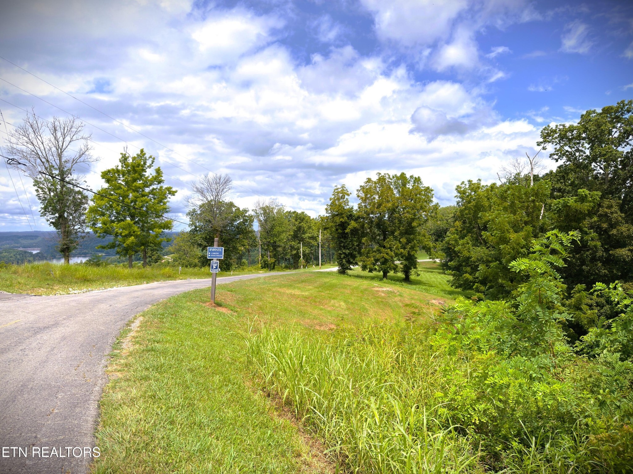 15 Swan Ridge Road Celina, TN 38551 - Photo 10 of 27