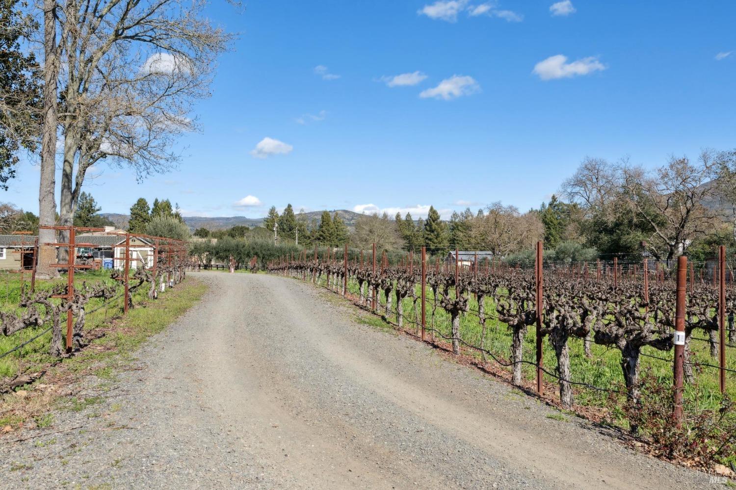 1180 Monticello Road Napa, CA 94558 - Photo 52 of 68