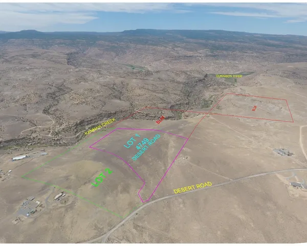 a view of a dry yard