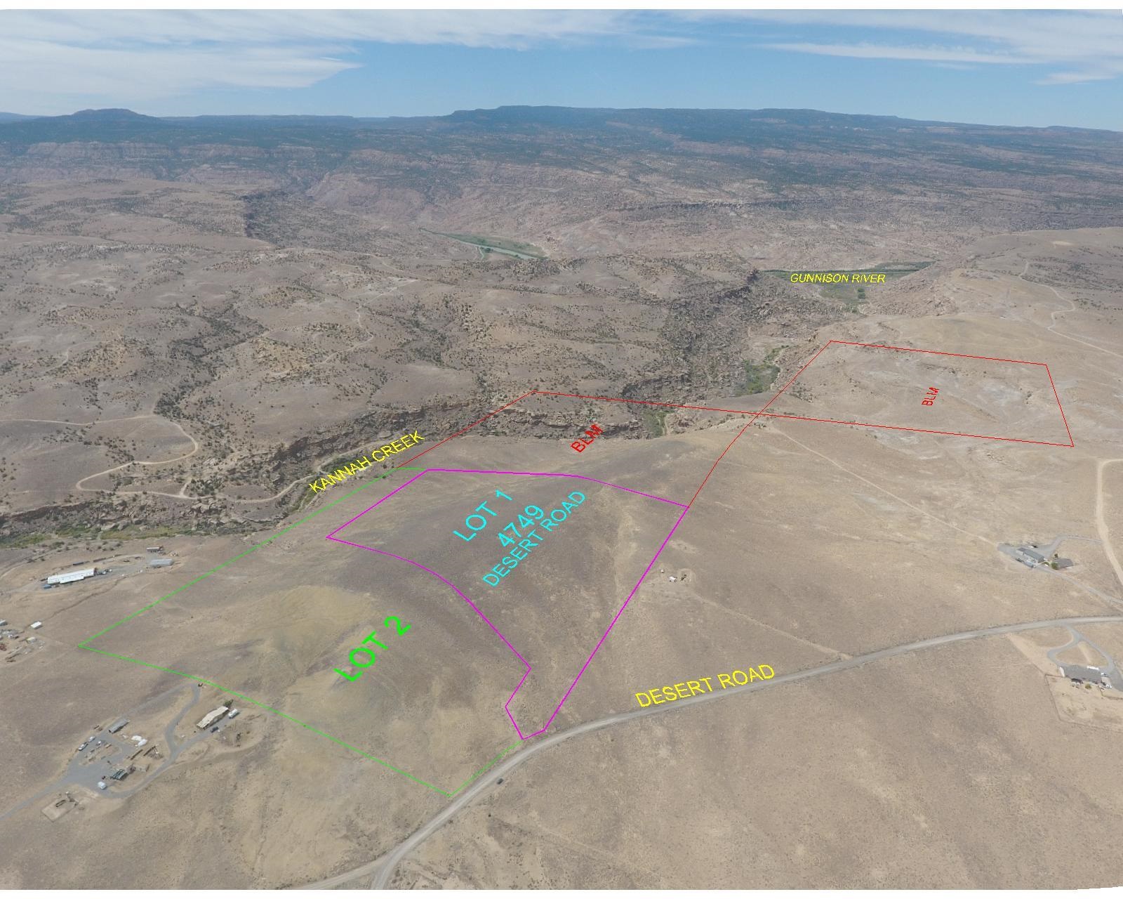 a view of a dry yard