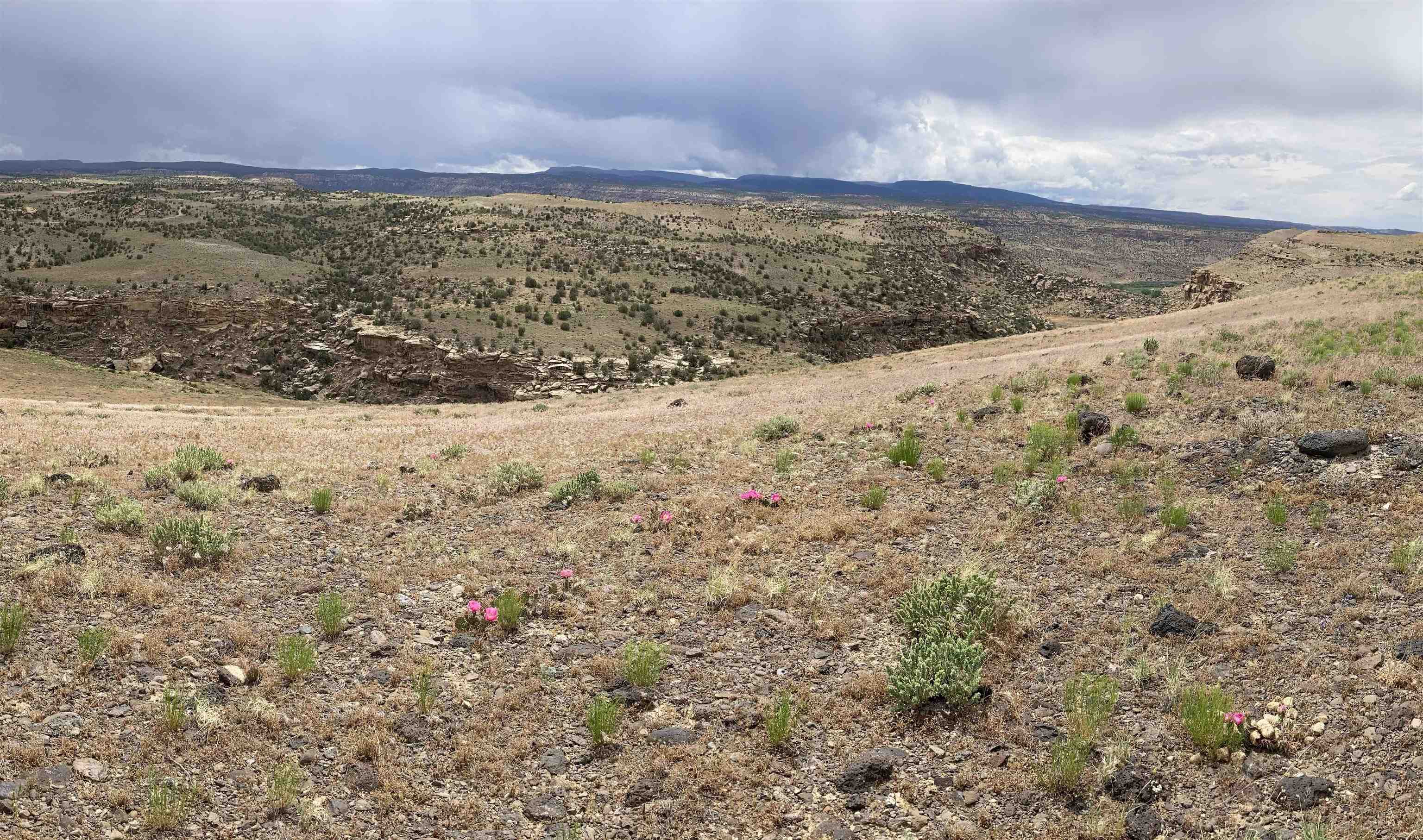 4749 Desert Road Whitewater, CO 81527 - Photo 2 of 4 a view of mountain view with beach