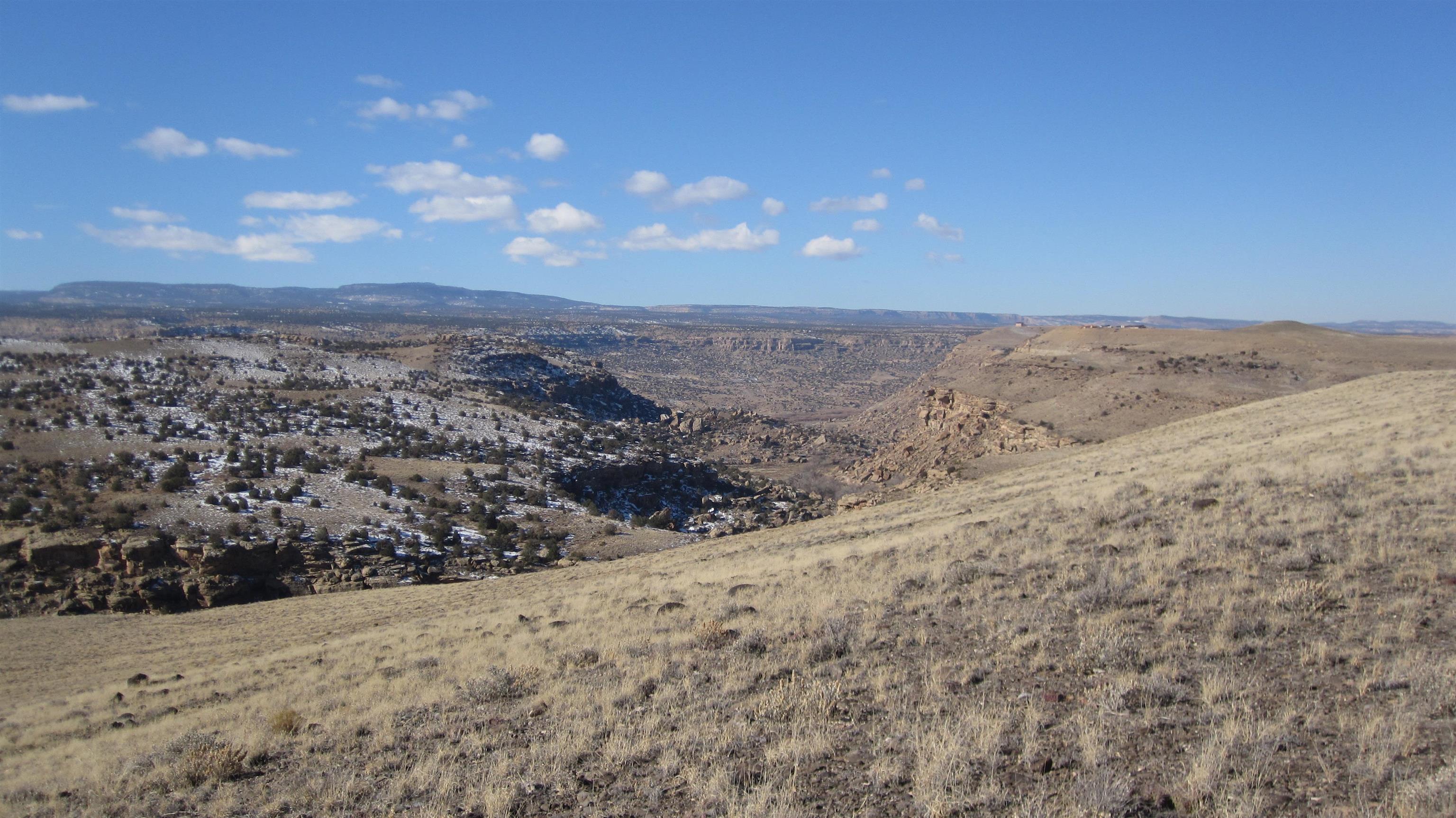 4749 Desert Road Whitewater, CO 81527 - Photo 3 of 4