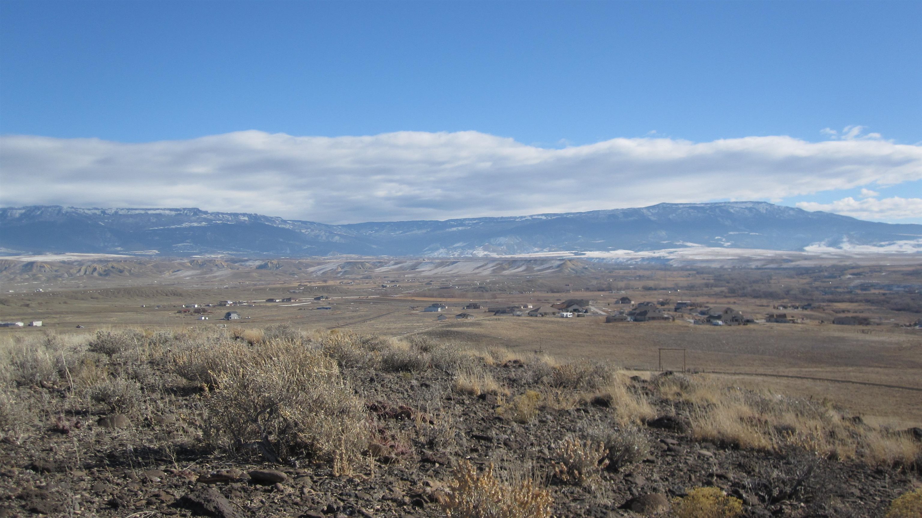 4749 Desert Road Whitewater, CO 81527 - Photo 4 of 4 a view of a big yard with large trees