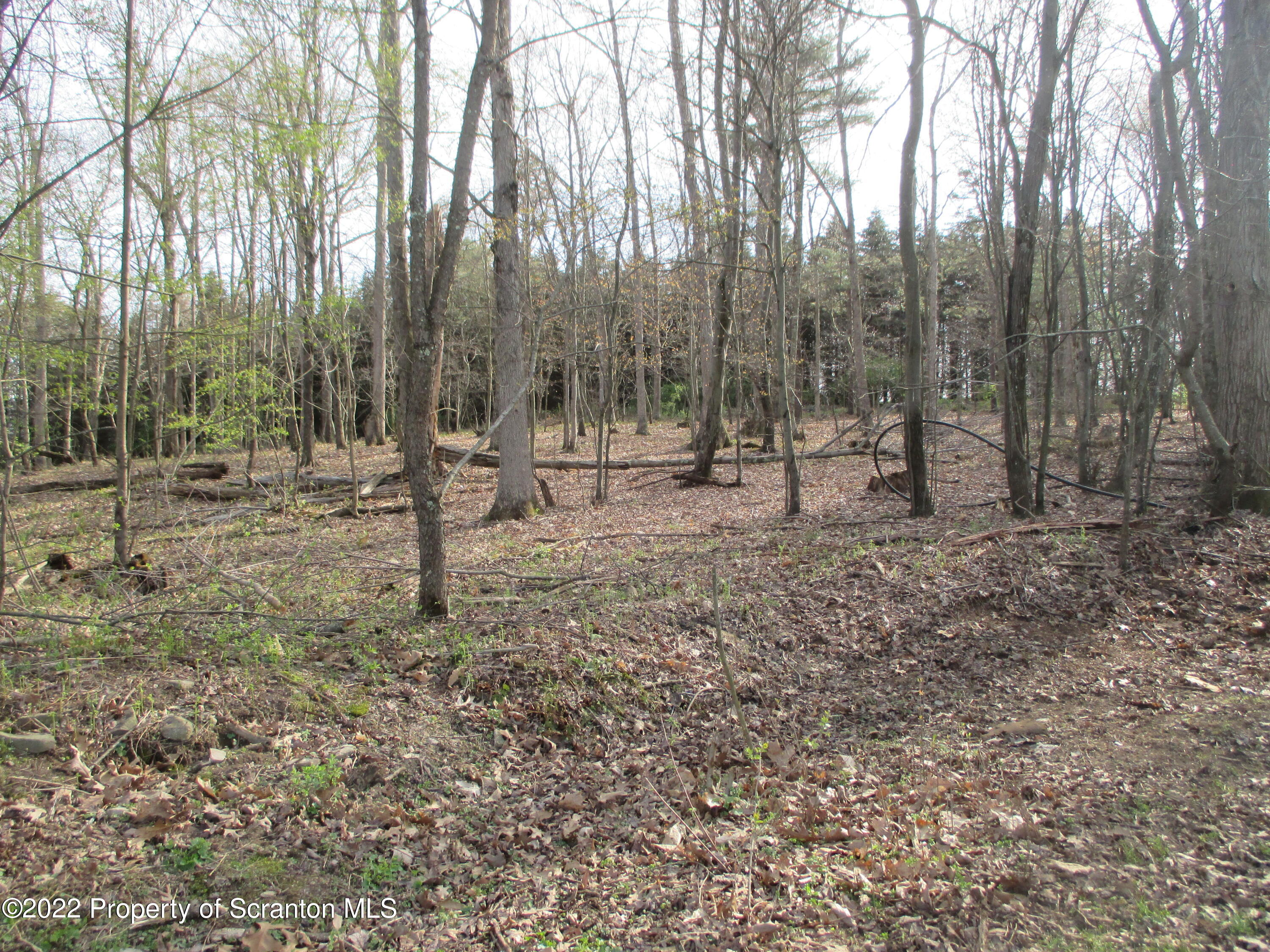 24 Country Road Orangeville, PA 17859 - Photo 45 of 76