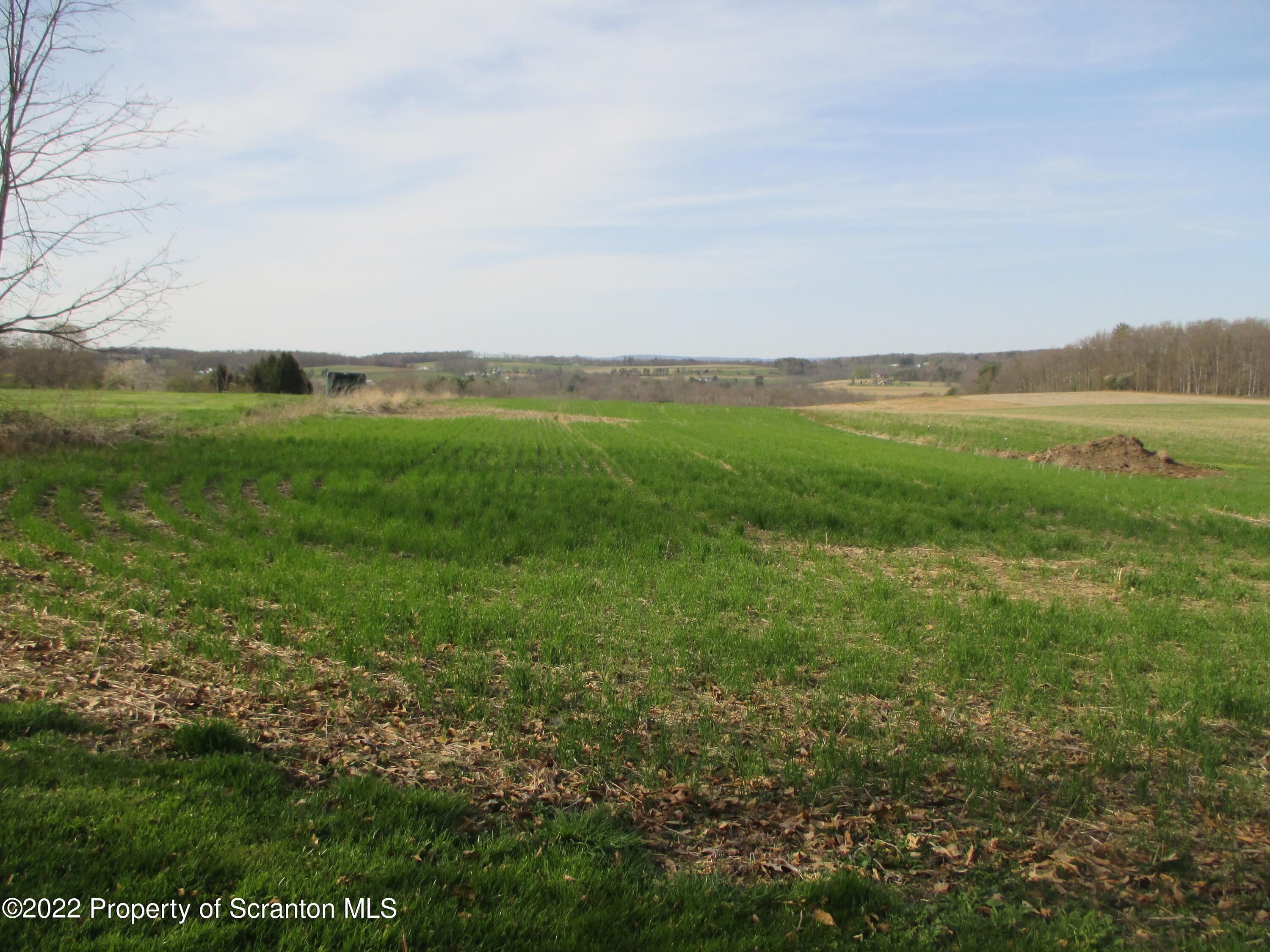 24 Country Road Orangeville, PA 17859 - Photo 46 of 76