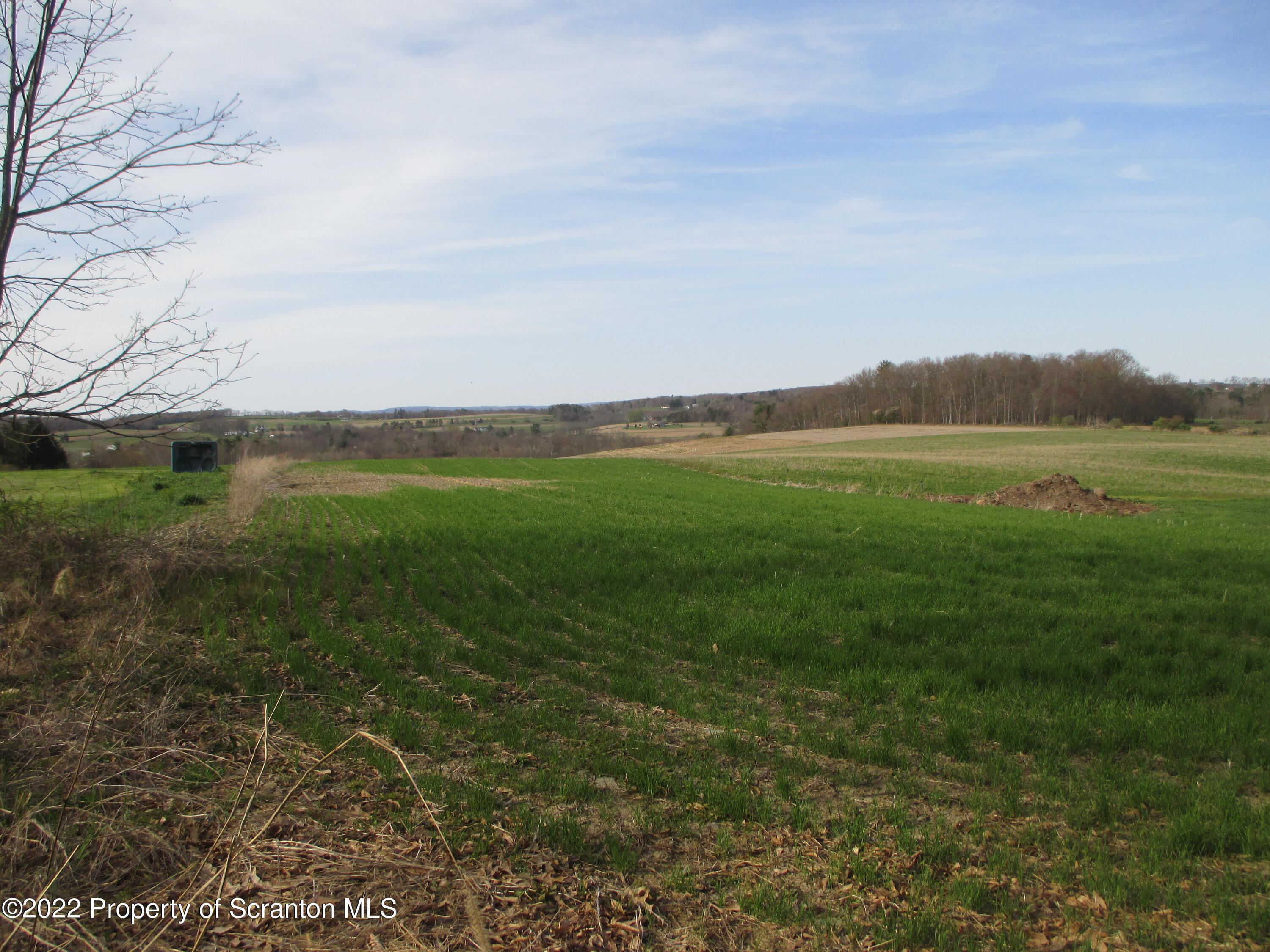 24 Country Road Orangeville, PA 17859 - Photo 48 of 76