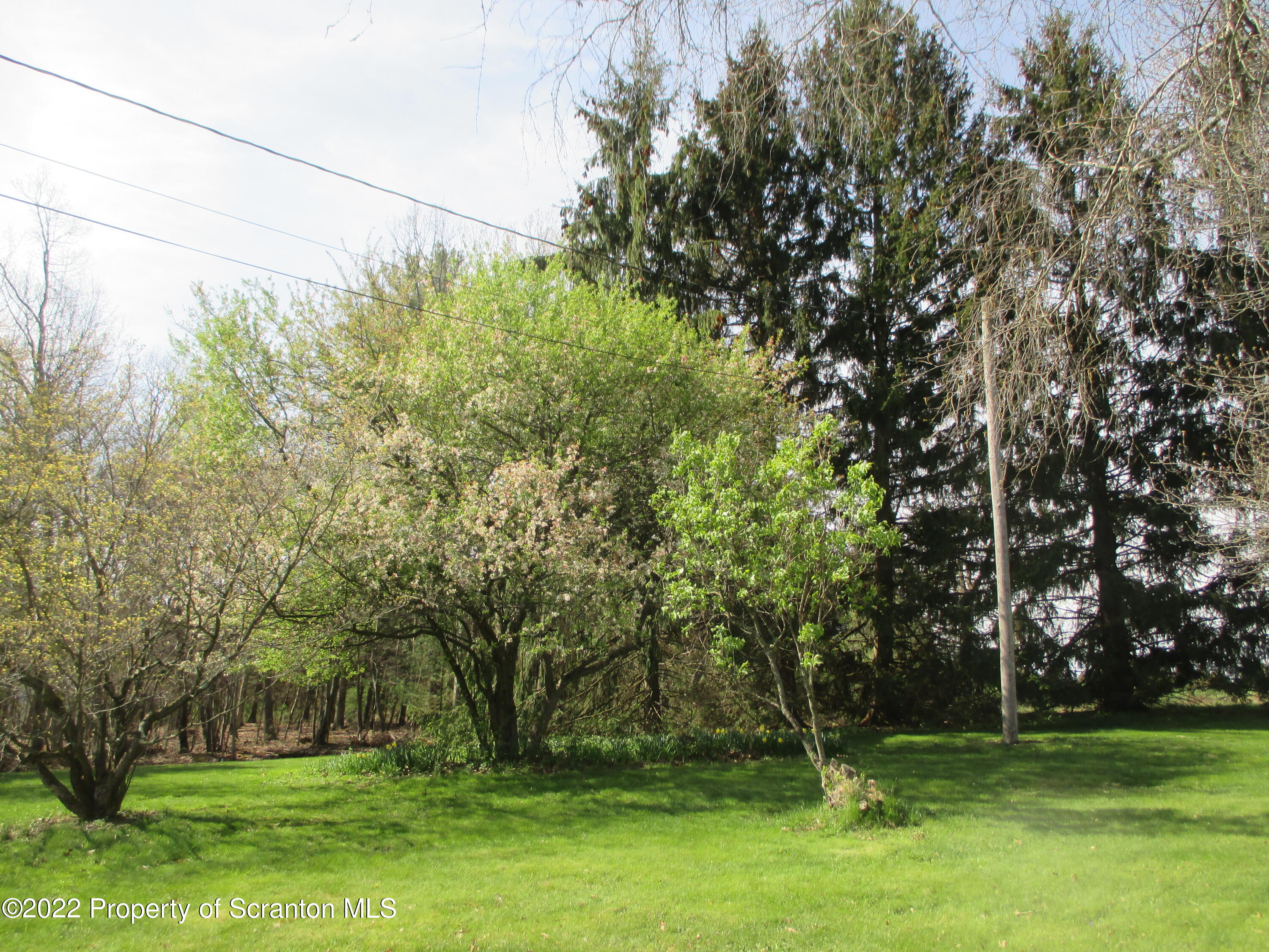 24 Country Road Orangeville, PA 17859 - Photo 60 of 76