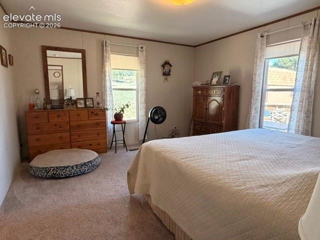 8084 Oak Drive Rye, CO 81069 - Photo 28 of 39 Master Suite, west facing