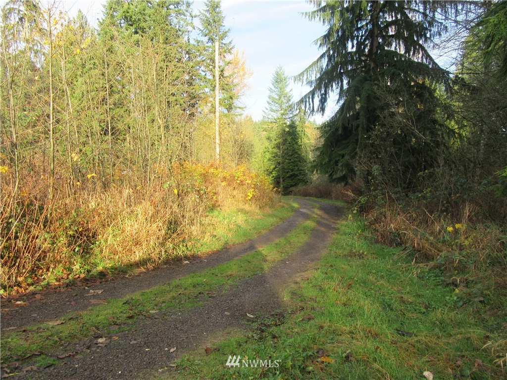 19801 Mountain View Road Northeast Duvall, WA 98019 - Photo 2 of 17 Gallery Image 2