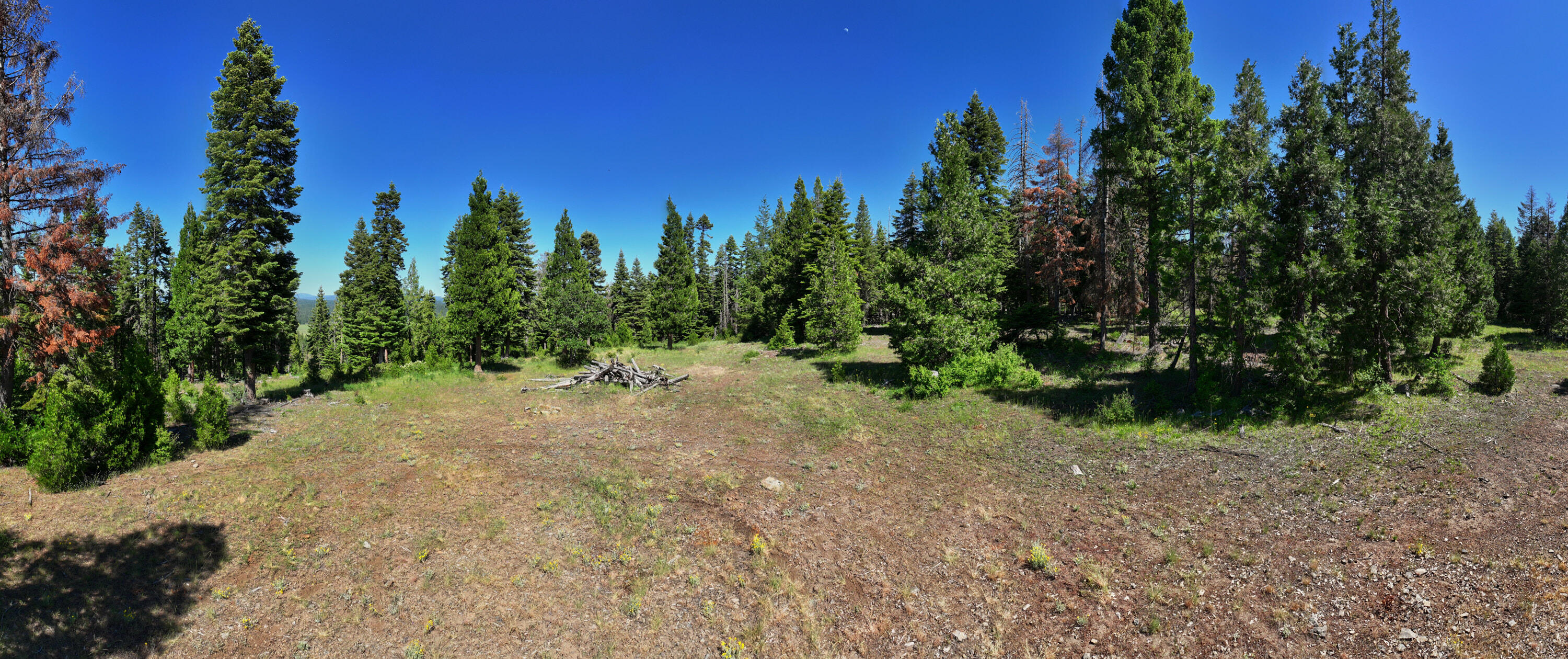 1160 Hyatt Prairie Road Ashland, OR 97520 - Photo 7 of 15 Hyatt Prairie Road_07