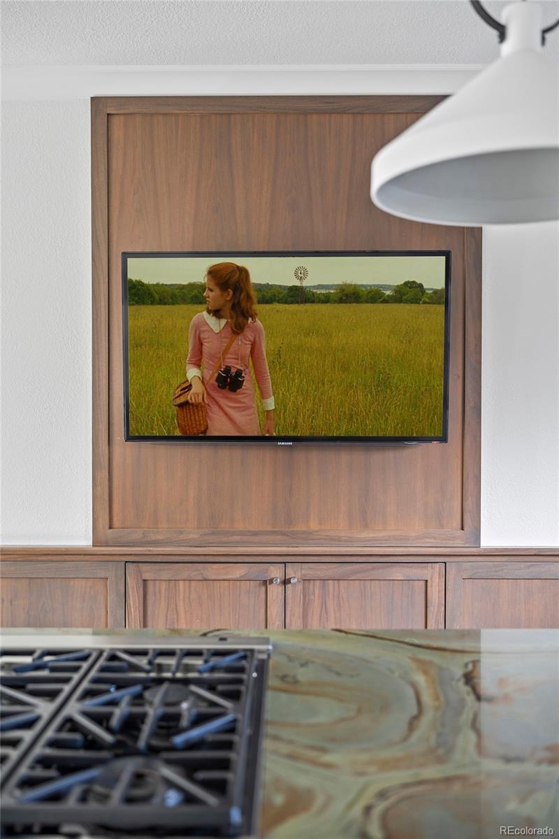 910 South Euclid Way Denver, CO 80209 - Photo 14 of 35