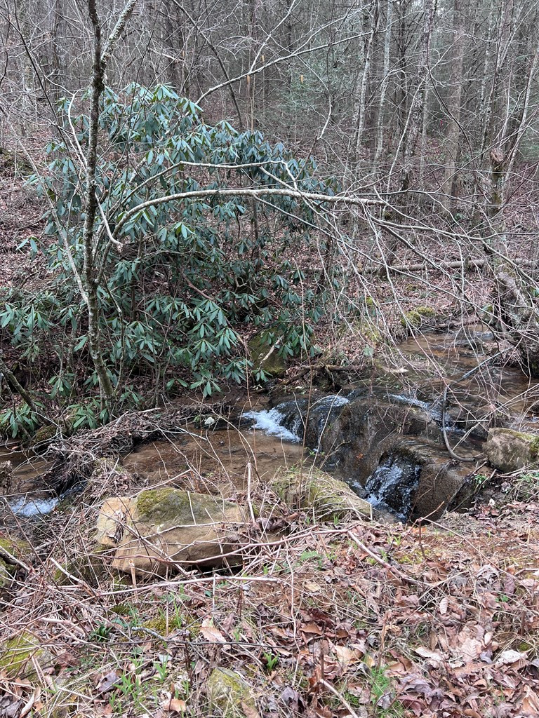 1-2 Graves Road Murphy, NC 28906 - Photo 6 of 12