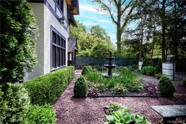 a view of a garden with plants and trees