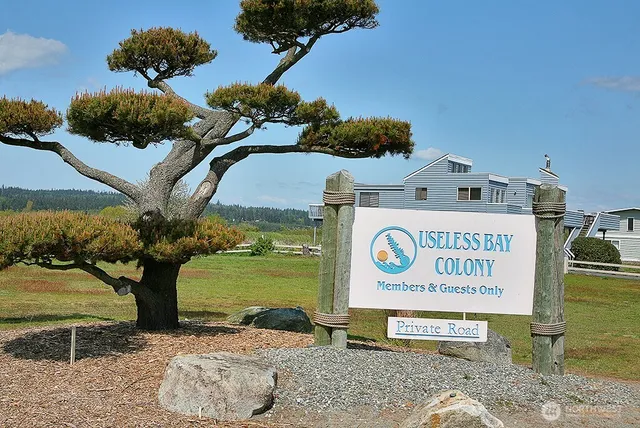 a view of basketball court