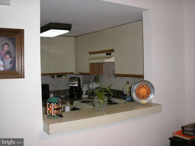 1951 Sagewood Lane, Unit 421 Reston, VA 20191 - Photo 5 of 22 Pass through for easy access to kitchen