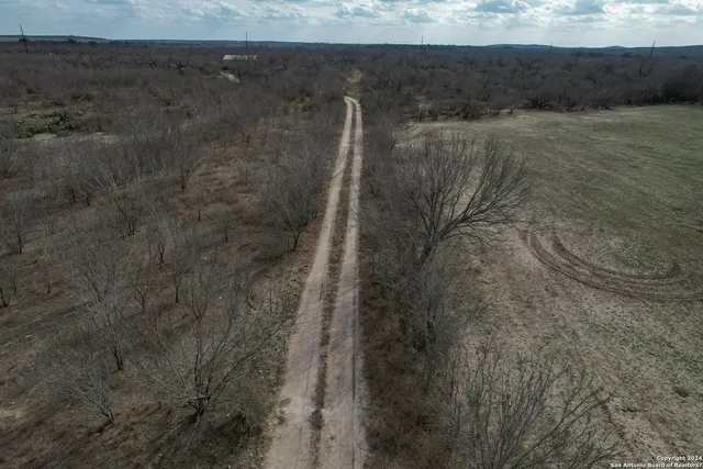 a view of a dry yard