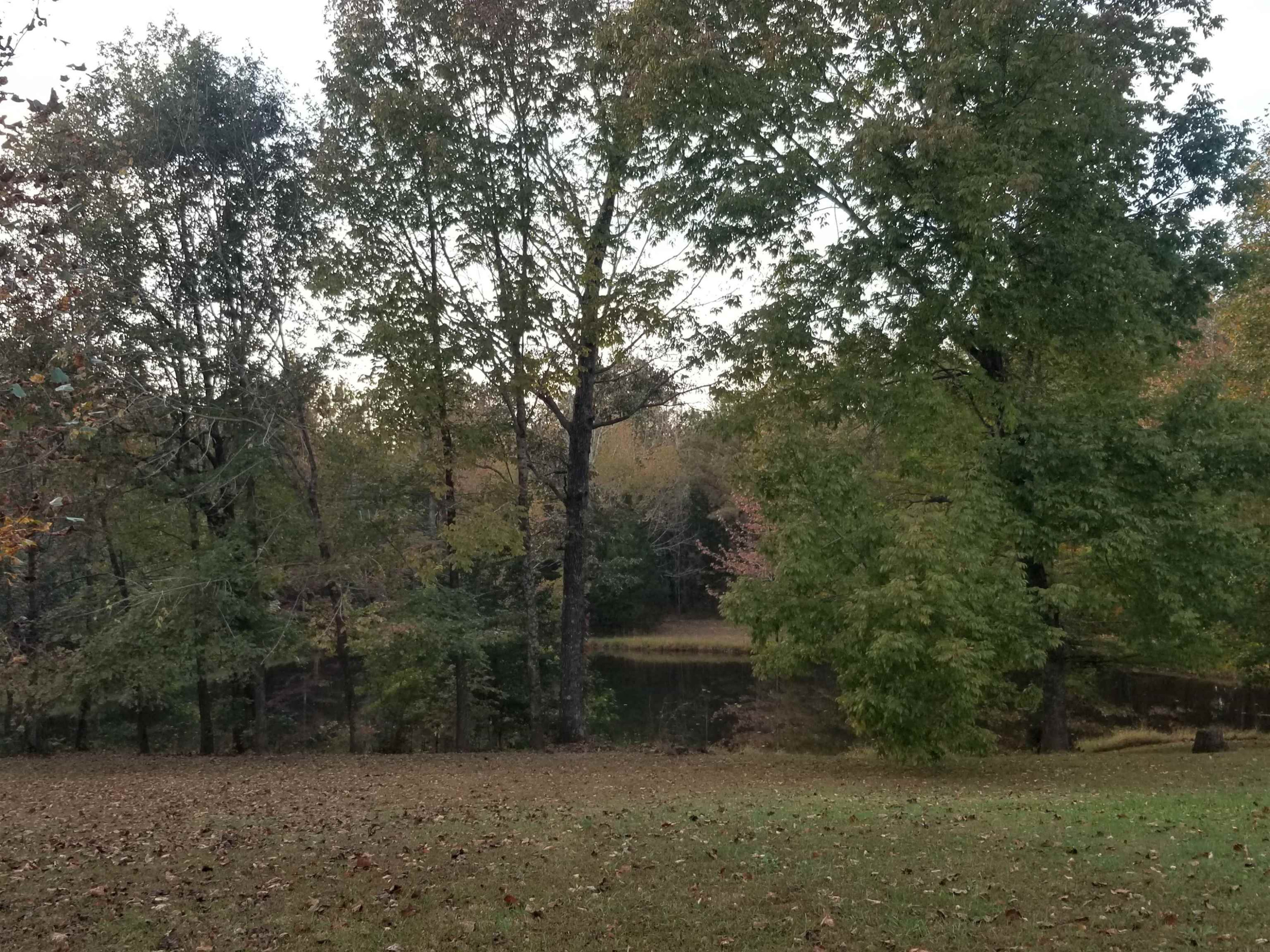 670 Diamond Grove Road Pinson, TN 38366 - Photo 18 of 18 Photo 18