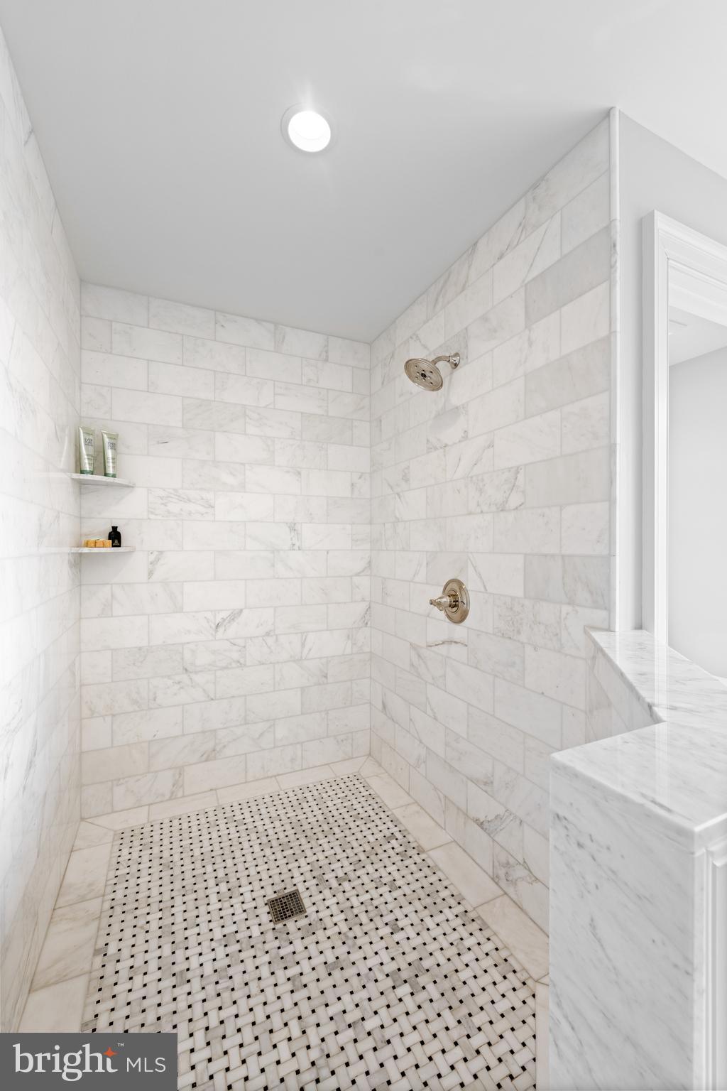 1484 West Strasburg Road West Chester, PA 19382 - Photo 48 of 95 Primary Walk-in Shower