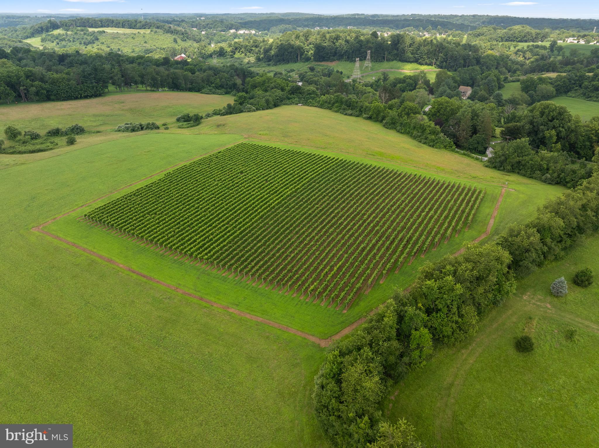1484 West Strasburg Road West Chester, PA 19382 - Photo 90 of 95 3 Acres of Managed Vineyard