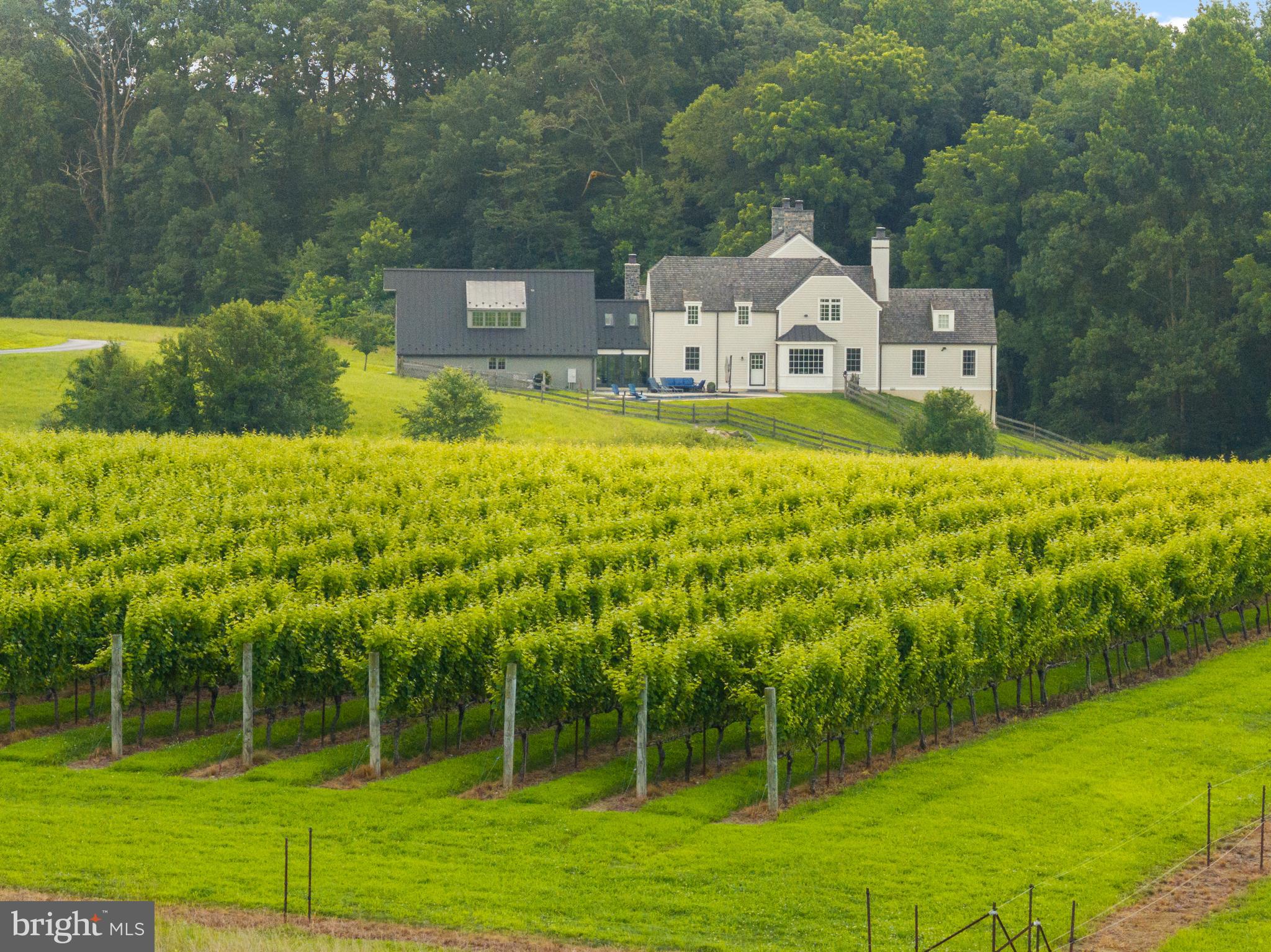 1484 West Strasburg Road West Chester, PA 19382 - Photo 91 of 95 Private Setting with a Vineyard View
