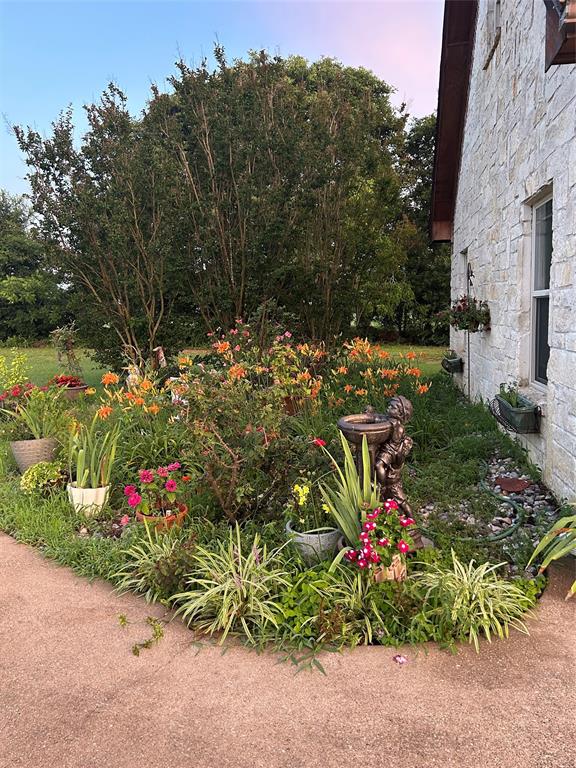 214 VZ County Road Ben Wheeler, TX 75754 - Photo 3 of 28