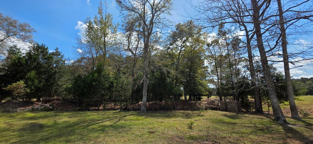 5.8-acres Nobles Road Cottonwood, AL 36320 - Photo 19 of 29