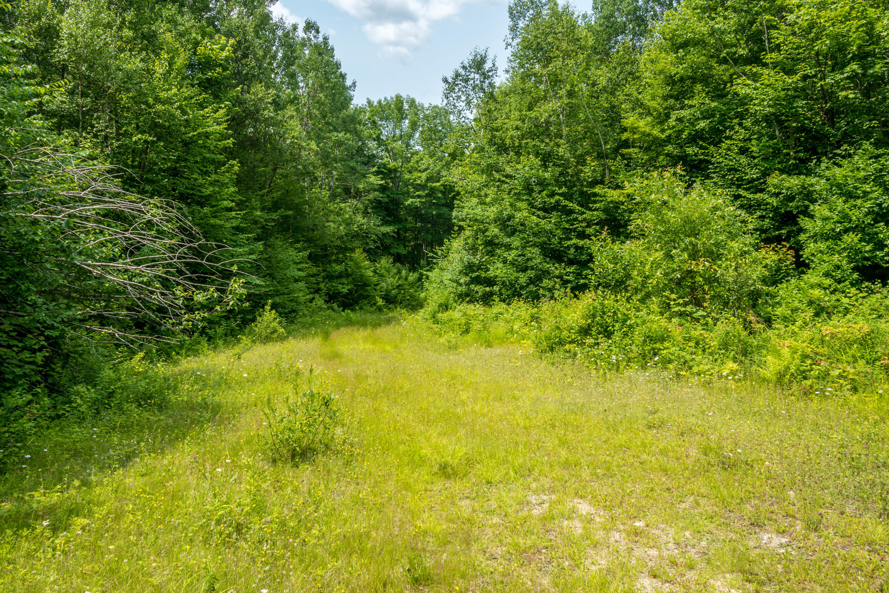 Lot 1 Puzzle Mountain Road Newry, ME 04261 - Photo 5 of 25 Bob Stewart Land-21