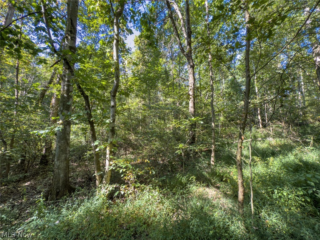 1 Shinn Road Stockport, OH 43787 - Photo 8 of 15 Gallery Image 8