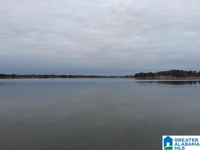 204 Viewpoint Circle Pell City, AL 35128 - Photo 4 of 49