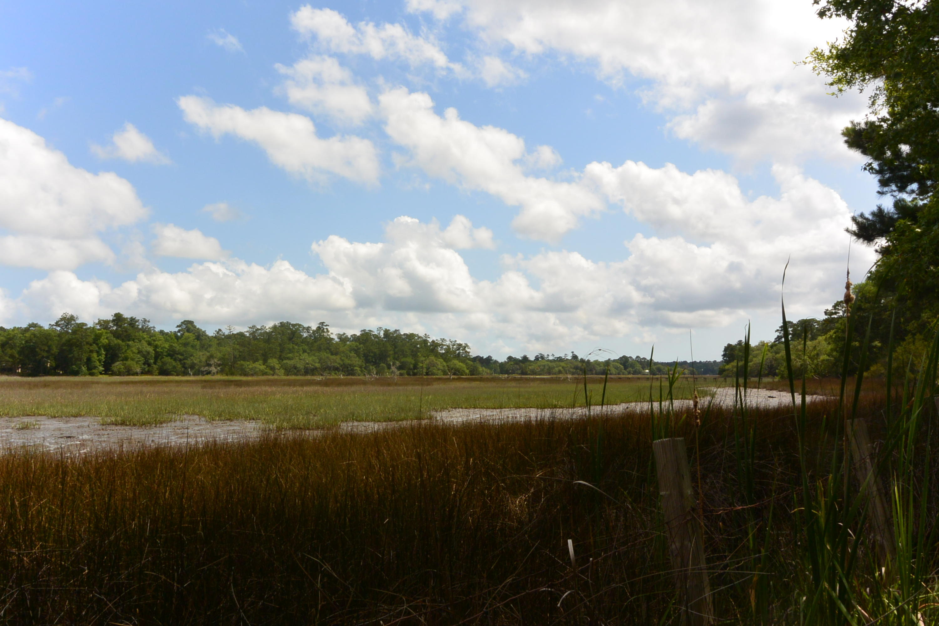 5610 Chisolm Road Johns Island, SC 29455 - Photo 1 of 19 DSC_0489