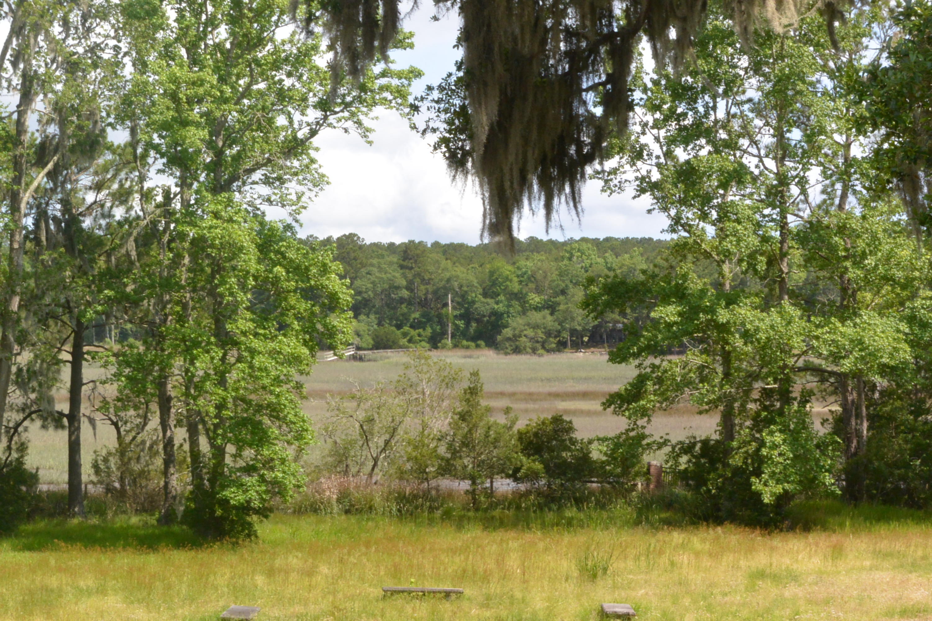 5610 Chisolm Road Johns Island, SC 29455 - Photo 2 of 19 DSC_0485