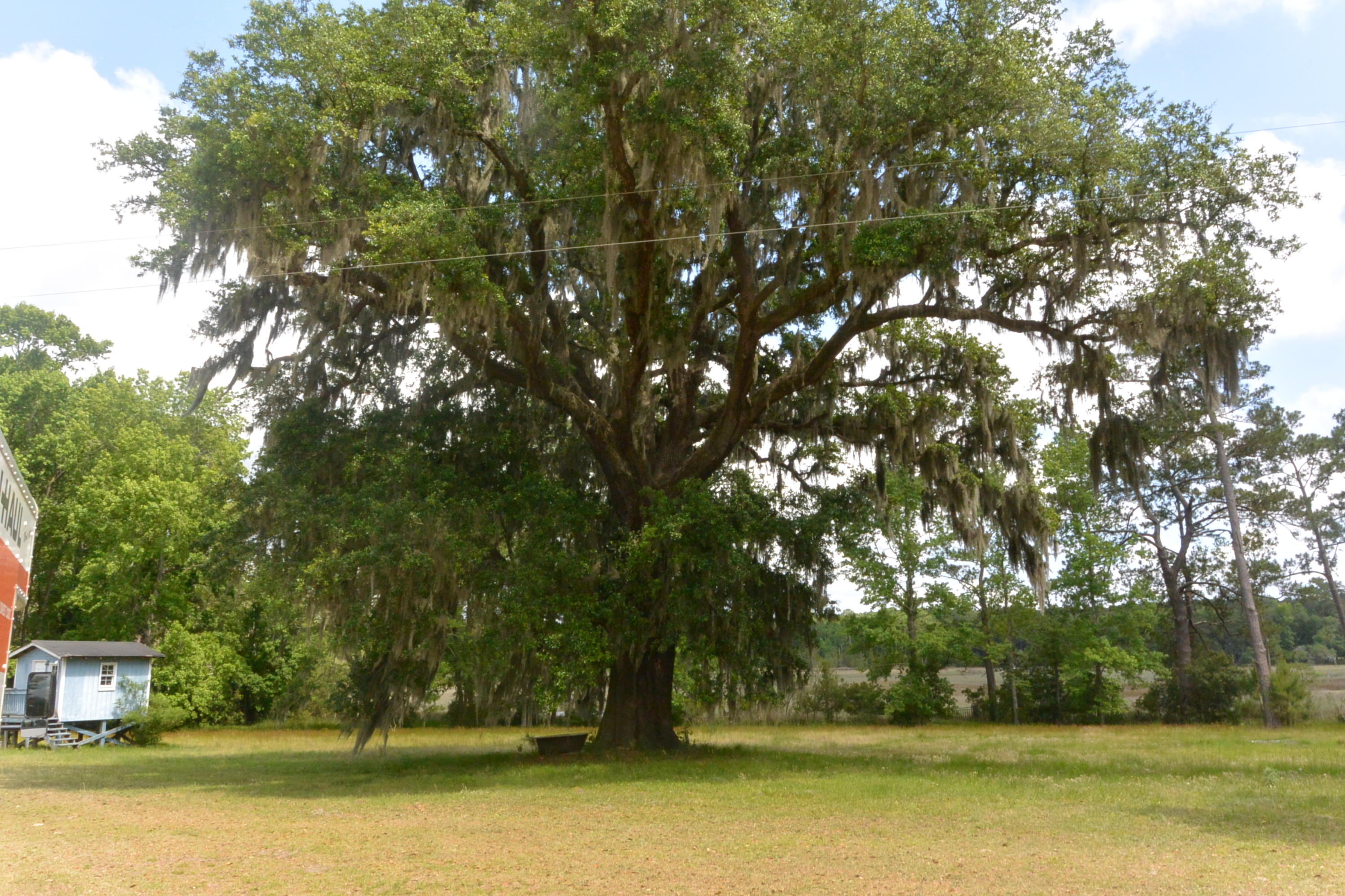 5610 Chisolm Road Johns Island, SC 29455 - Photo 5 of 19 DSC_0468