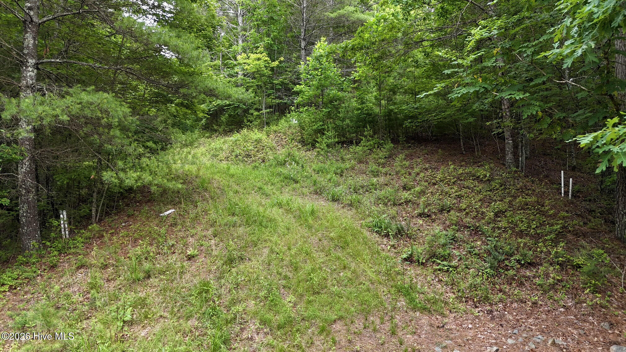 104-105 Choctaw Rdg Trail Murphy, NC 28906 - Photo 3 of 3