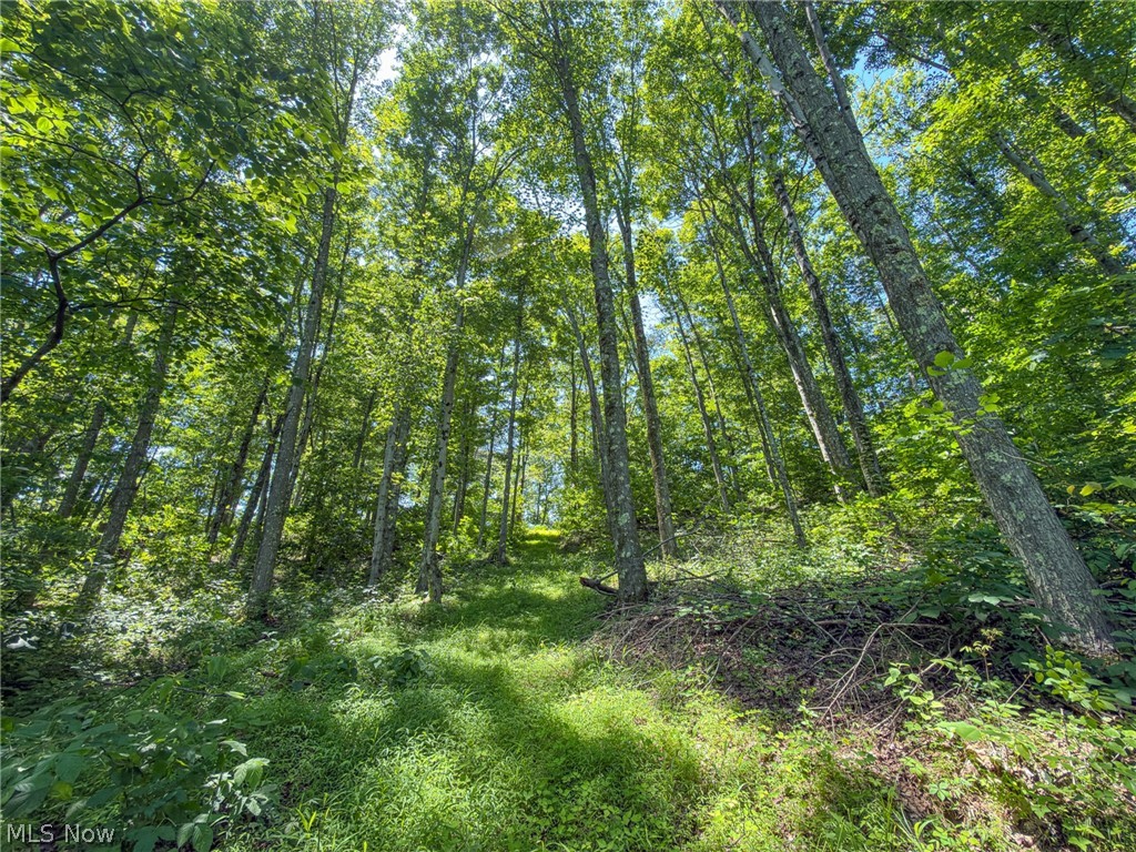 0 Twp Road Marietta, OH 45750 - Photo 36 of 50