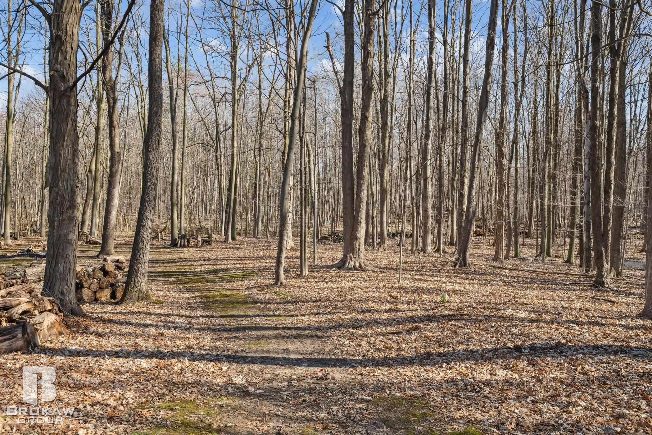 3100 West Brocker Road Metamora, MI 48455 - Photo 52 of 60 50137338-f13f6112-98f7-4a68-8ca9-5be48d9e1863.JPG