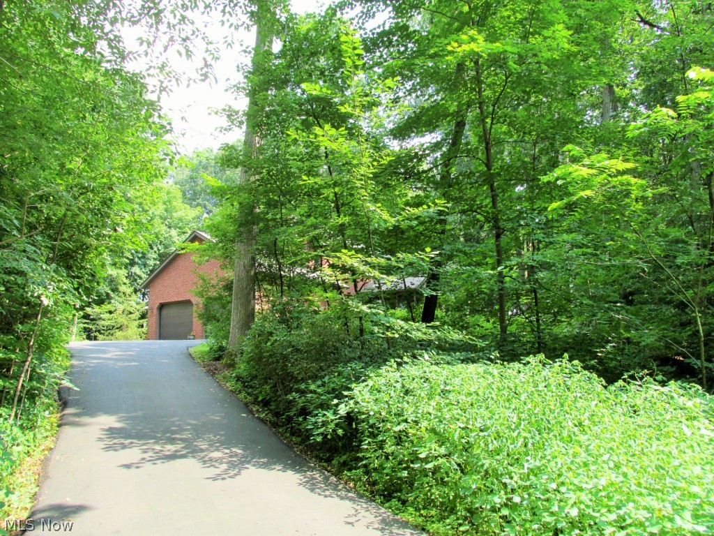 3045 Wile Road Wooster, OH 44691 - Photo 24 of 25 Paved driveway leading to this private and secluded setting off of Wile Rd., Wooster, OH The wooded area to the left of the home contains walking paths/trails for exploring or gathering wood for the fireplace and fire pit!