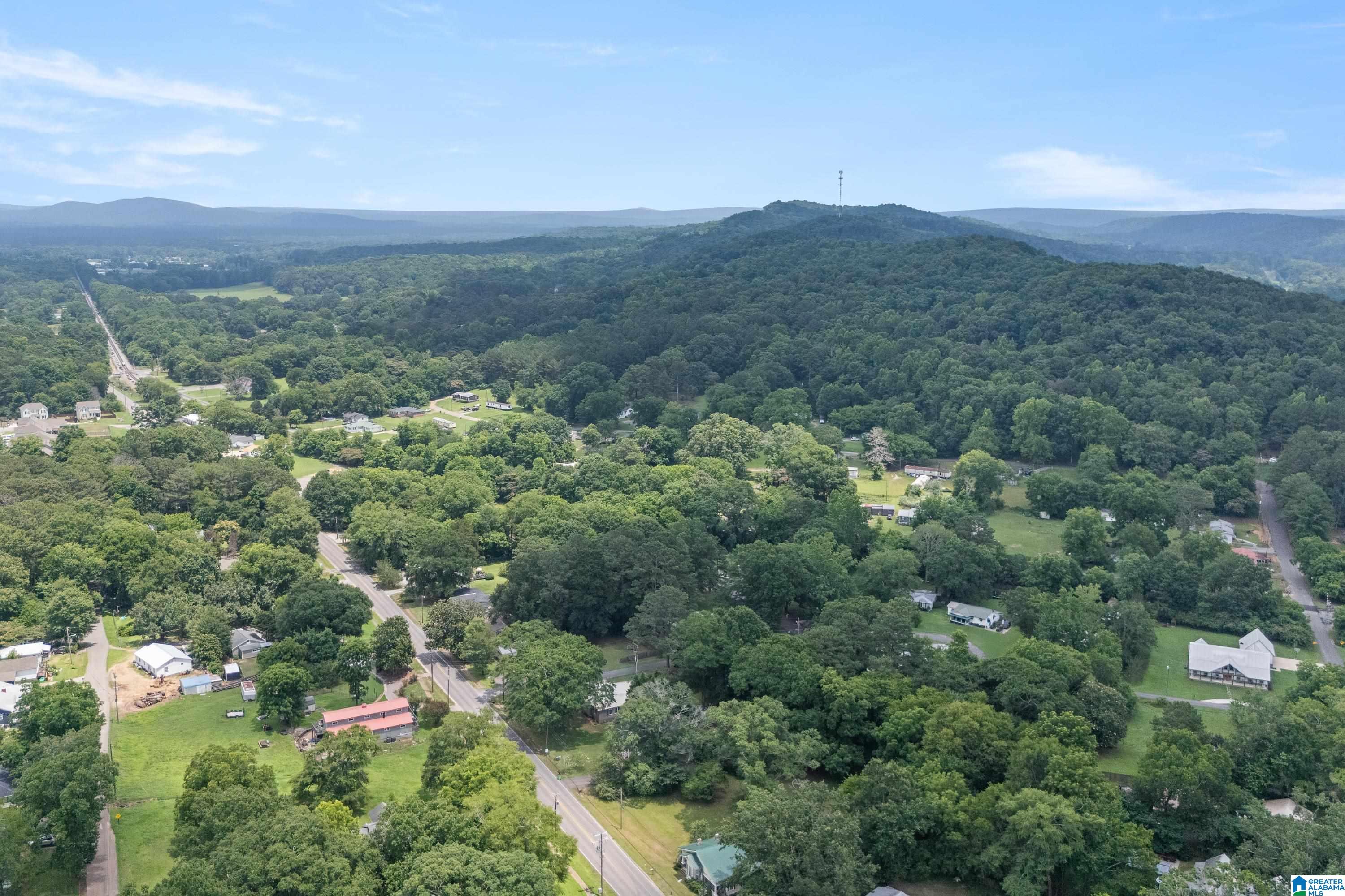 6986 Highway 11 Springville, AL 35146 - Photo 39 of 44