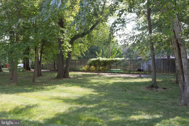 a view of a park with large trees