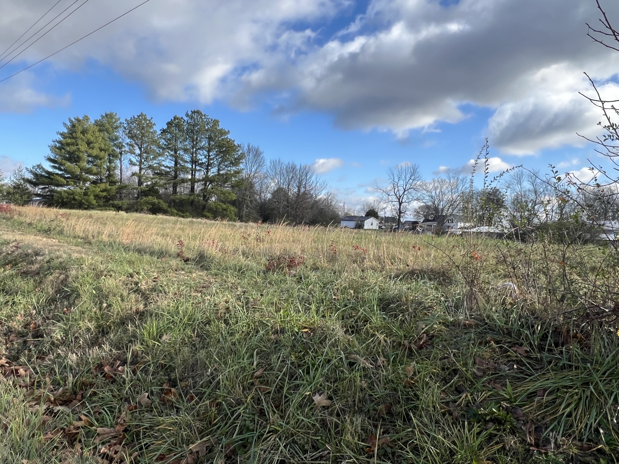 0 Otha Road Summertown, TN 38483 - Photo 2 of 5 Gallery Image 2