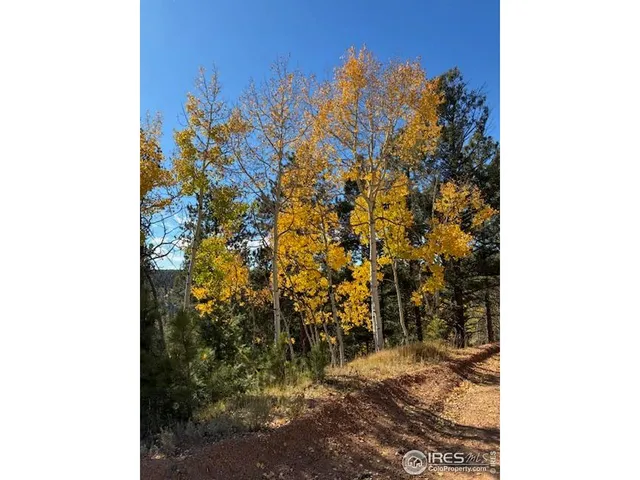 $78,000 | 85 Remwood Circle, Divide, CO 80814