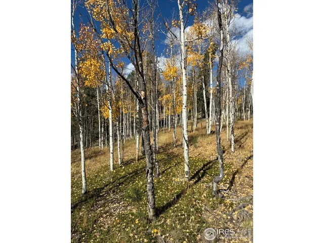 $78,000 | 85 Remwood Circle, Divide, CO 80814