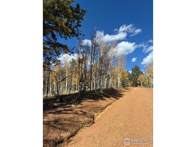 $78,000 | 85 Remwood Circle, Divide, CO 80814