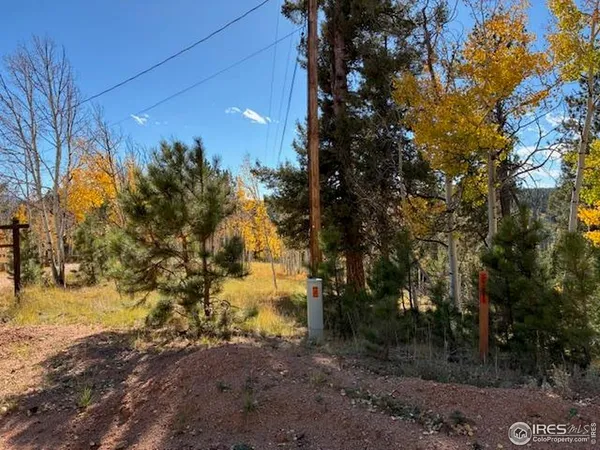 $78,000 | 85 Remwood Circle, Divide, CO 80814