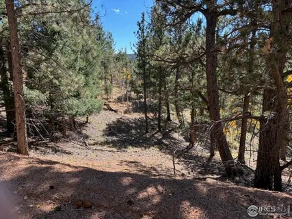 $78,000 | 85 Remwood Circle, Divide, CO 80814